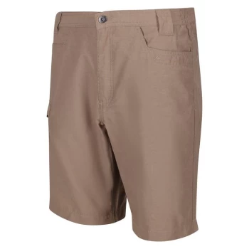 Image of Regatta Delgado Shorts - Gold Sand