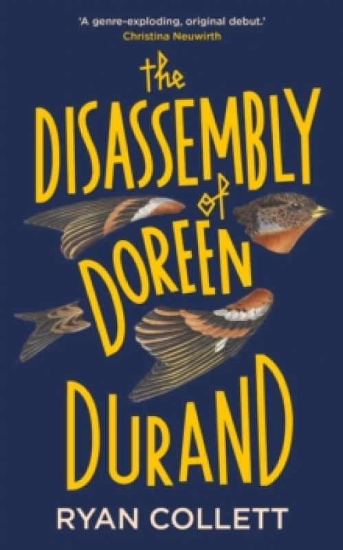 Image of The Disassembly of Doreen Durand Hardback