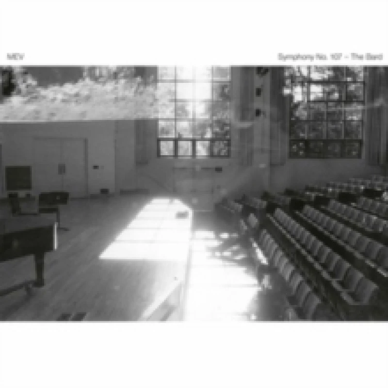 Image of Symphony No. 107 - The Bard Vinyl