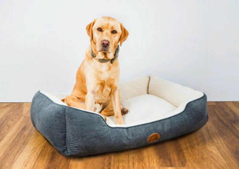 Image of Snug & Cosy Pets Snug And Cosy Pets Edinburgh Herringbone Dog Bed Bedding Rectangle Medium 76Cm