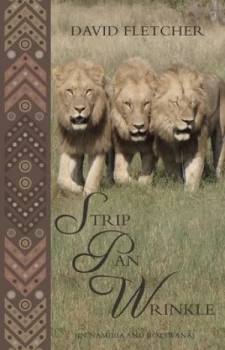 Image of Strip Pan Wrinkle by David Fletcher Paperback