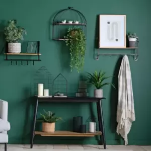 Image of Crossland Grove Hanging Philodendron Bush H480X105Mm