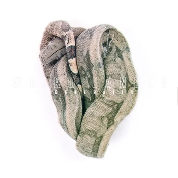 Image of Weird Candle - REGENERATION Vinyl