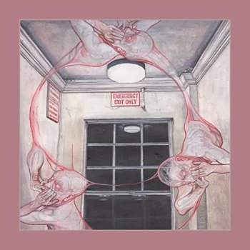 Image of Caina - Gentle Illness Vinyl