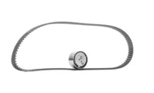 Image of SKF Timing belt kit VKMA 02206 Timing belt set,Cam belt kit FORD,FIAT,ALFA ROMEO,KA (RU8),GRANDE PUNTO (199),PANDA (169),500 (312),PUNTO (188)