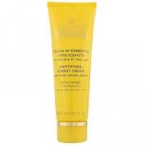 Image of Collistar Moisturisers Mattifying Sorbet Cream With Black Currant Extract 50ml