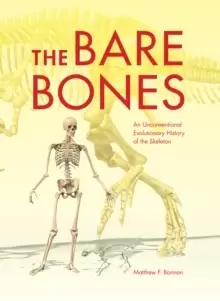 Image of The Bare Bones : An Unconventional Evolutionary History of the Skeleton