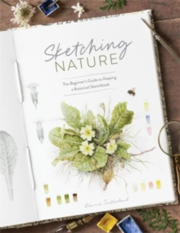 Image of Sketching Nature : The Beginners Guide to Keeping a Botanical Sketchbook Paperback / softback
