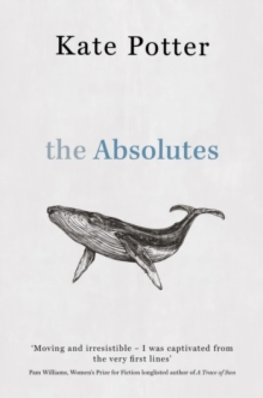 Image of The Absolutes : a profound exploration of grief told through fragments of memory Paperback / softback