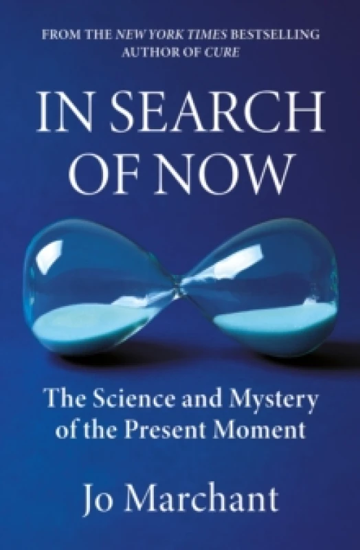 Image of In Search of Now : The Science and Mystery of the Present Moment Hardback