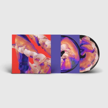 Image of Bicep - Isles Picture Disc Vinyl