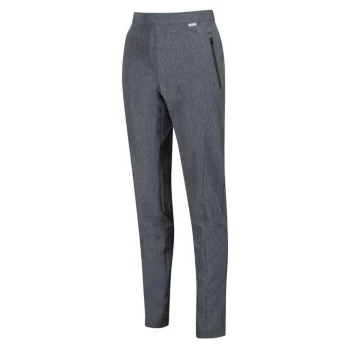 Image of Regatta Pentre Walking Trouser (Long) - SealGrey Mar