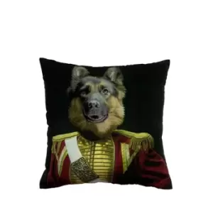 Image of House of Fraser Vintage Animals 31 - Black