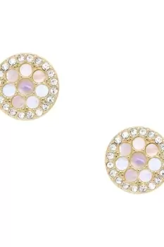 Image of Ladies Fossil Jewellery Sadie Mosaic Earrings