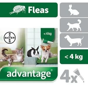 Image of Advantage Flea Treatment 40 Spot Small Cats Dog and Rabbits