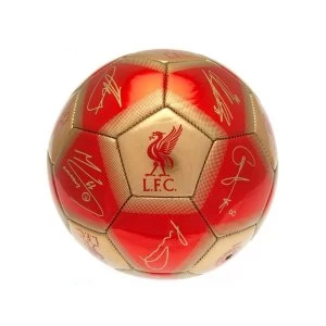 Image of Liverpool Signature Ball Size 5 Red Gold 7068