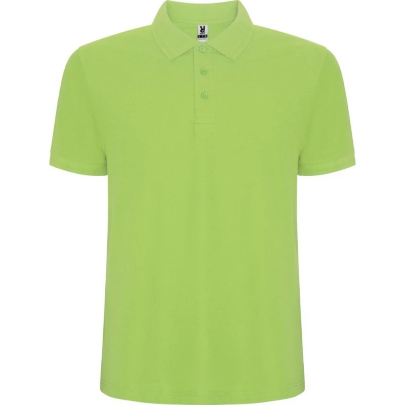 Image of Roly Pegaso Premium boys's Children's polo shirt in Green