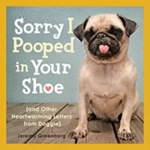 Image of sorry i pooped in your shoe