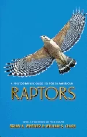 Image of photographic guide to north american raptors