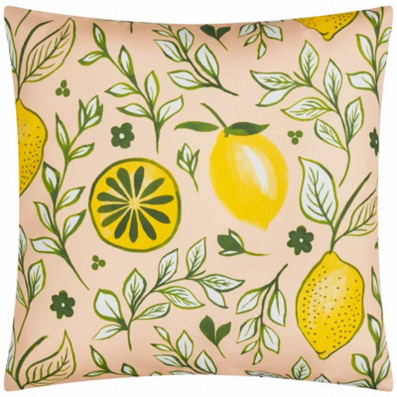 Image of Furn. Citronello Printed Filled Outdoor Cushion Peach 45 X 45Cm, Orange 5.03E+12