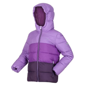 Image of Regatta Lofthouse V Insulated Jacket - Hyacnth/Purp
