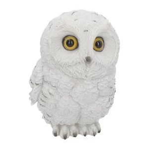 Image of Winters Wisdom Owl Statue
