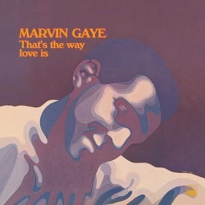 Image of Marvin Gaye - ThatS The Way Love Is Vinyl