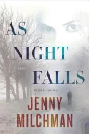 Image of as night falls a novel