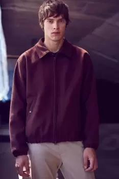 Image of Brown Collared Harrington