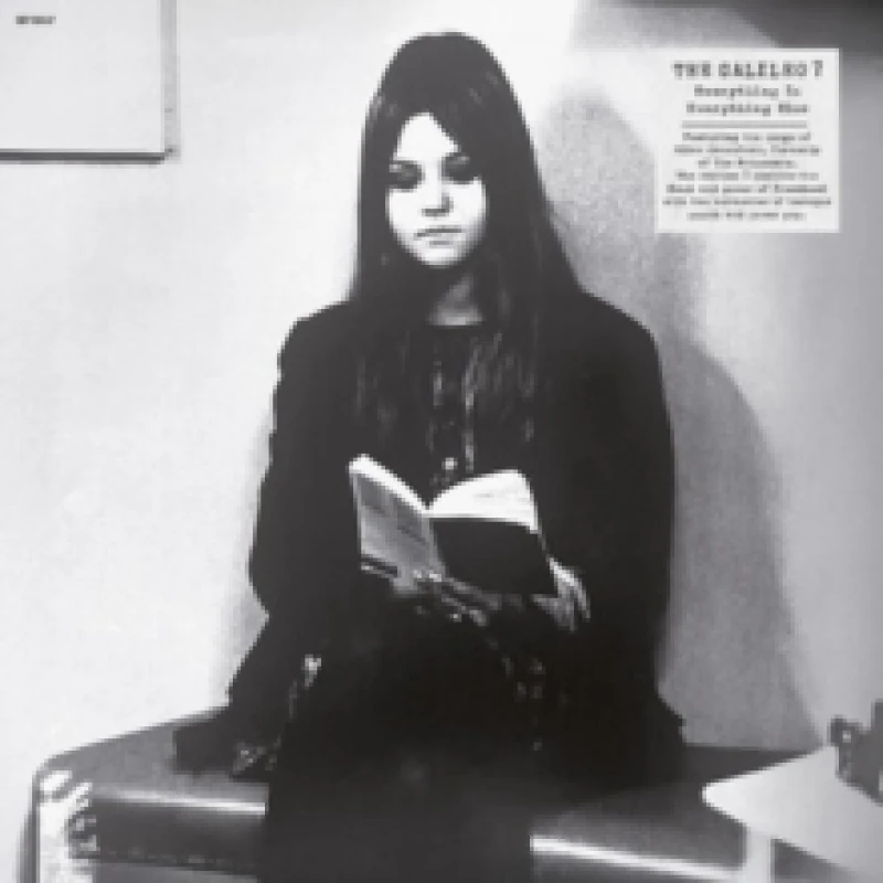 Image of Everything is everything else Vinyl