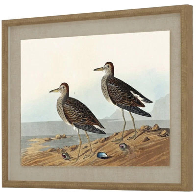 Image of Flora & Fauna Collection Sandpipers On Linen In Beaded Frame