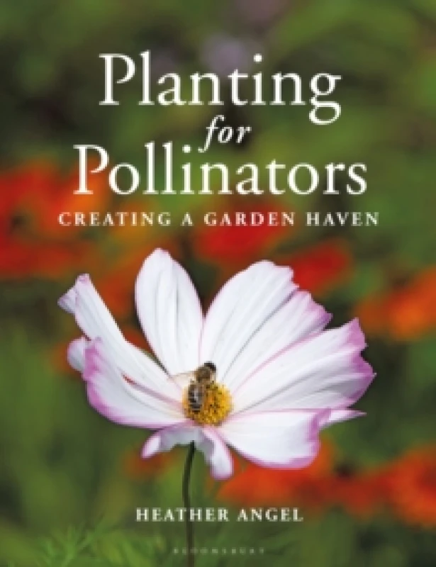 Image of Planting for Pollinators : Creating a Garden Haven Paperback / softback