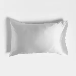 Image of in home 100% Silk Pillowcase - Silver