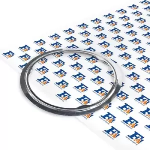 Image of FA1 Gasket, exhaust pipe 100-921 BMW,3 Touring (E91),3 Limousine (E90),5 Limousine (E60),5 Touring (E61),X3 (E83),3 Coupe (E92),X5 (E70)