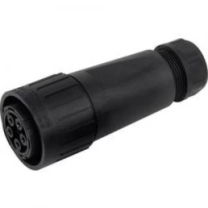 Image of High current cable connector IP65 C016 20E004 800 2 Black Amphenol Con