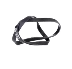 Image of RIDEX V-ribbed belt AUDI,BMW,RENAULT 305P0434 034903107B,034903137B,GFB80890 11281437875,11281739470,11281743193,64551739470,7617421,56992P3F003