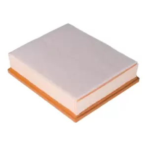 Image of Air Filter 49669 by Febi Bilstein