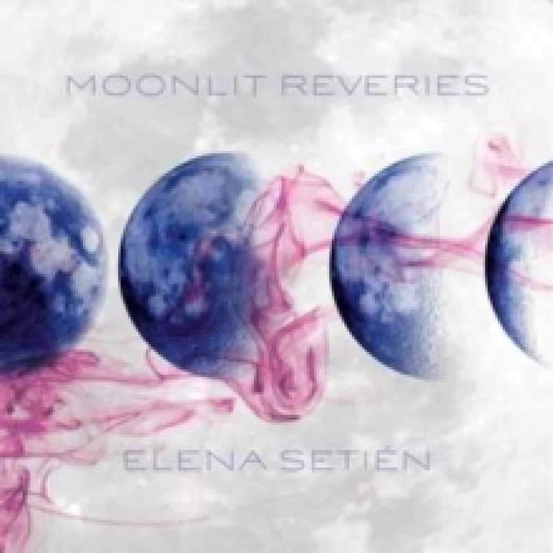 Image of Moonlit reveries Vinyl
