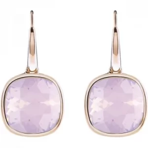 Image of Ladies Guess Rose Gold Plated Crystal Shades Earrings