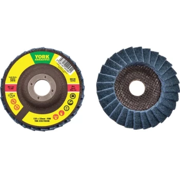 Image of 125X22.23MM Non Woven Flap Disc Fine - York