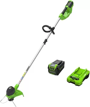 Image of Greenworks GW21107 40V Cordless Line Trimmer