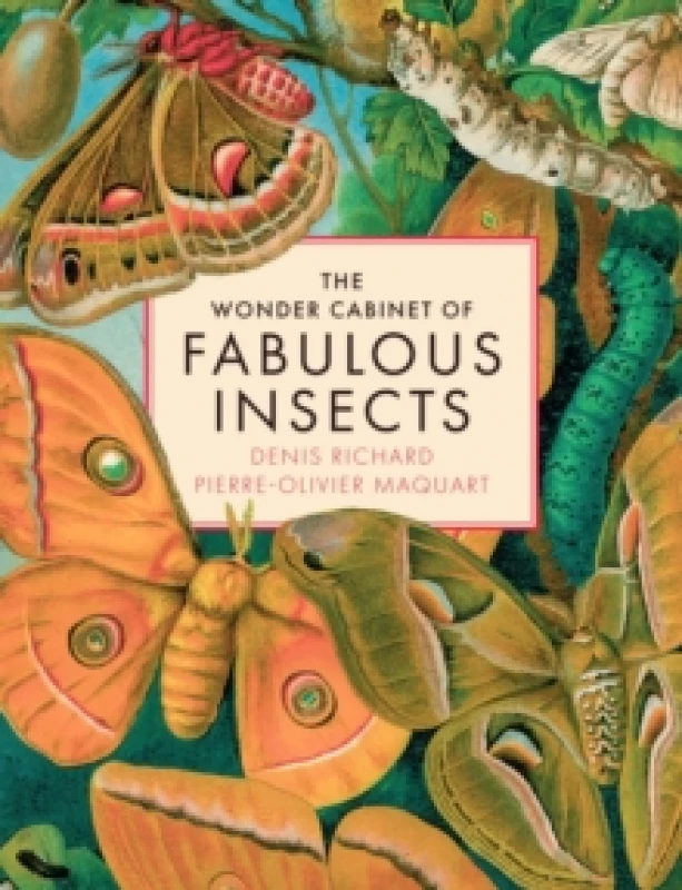 Image of The Wonder Cabinet of Fabulous Insects : Secrets of the Worlds Rarest and Strangest Insects Hardback