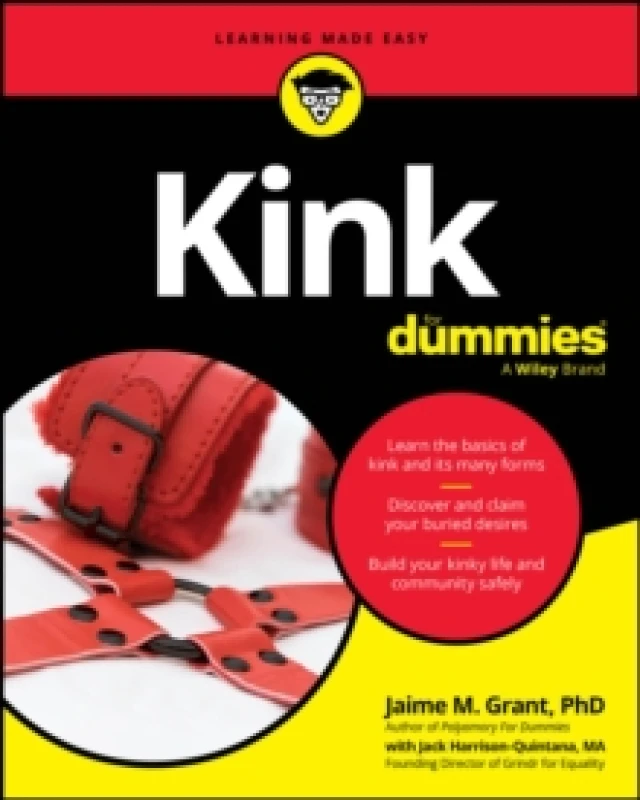 Image of Kink For Dummies Paperback / softback