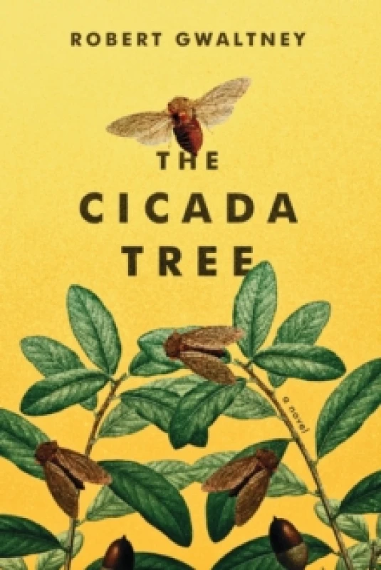 Image of The Cicada Tree Paperback / softback