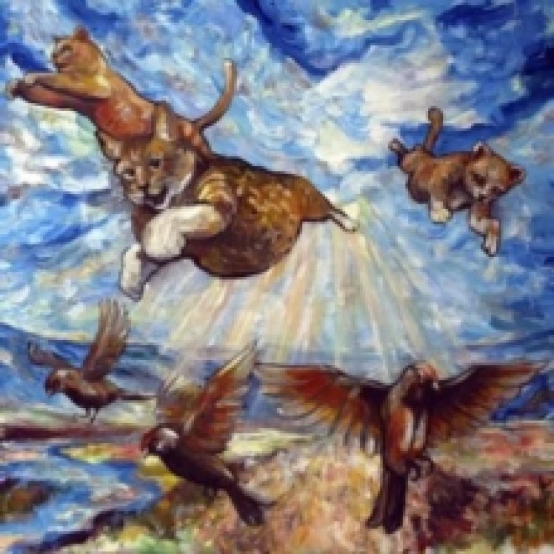 Image of Maine Coon Vinyl