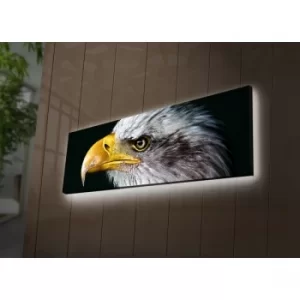 Image of 3090DACT-62 Multicolor Decorative LED Lighted Canvas Painting