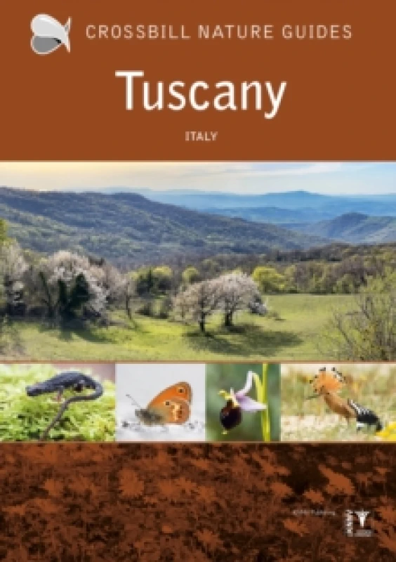 Image of Tuscany : Italy Paperback / softback