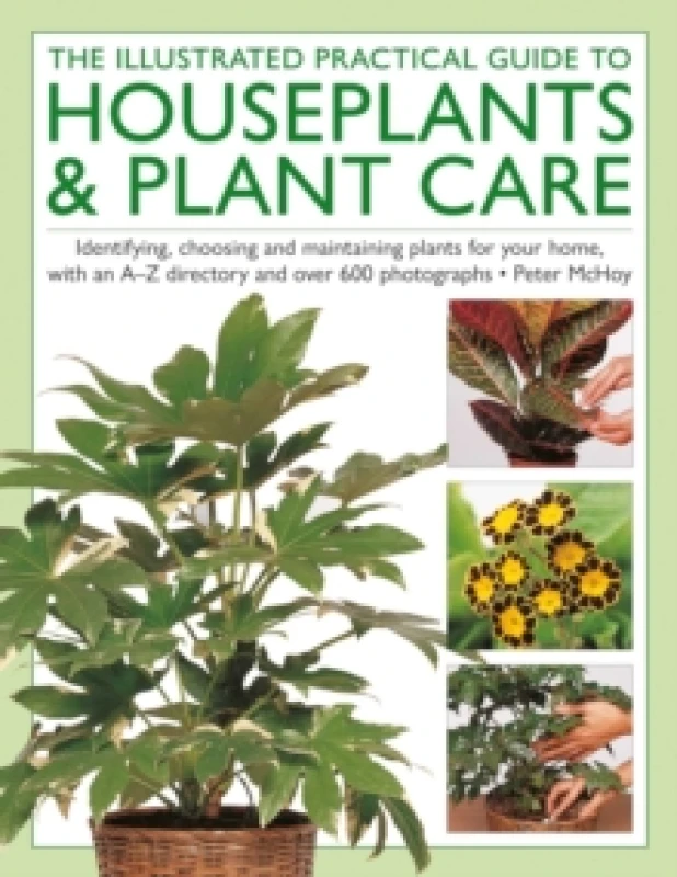 Image of The Illustrated Practical Guide to Houseplants & Plant Care : Identifying, choosing and maintaining plants for your home, with an AZ directory and ove