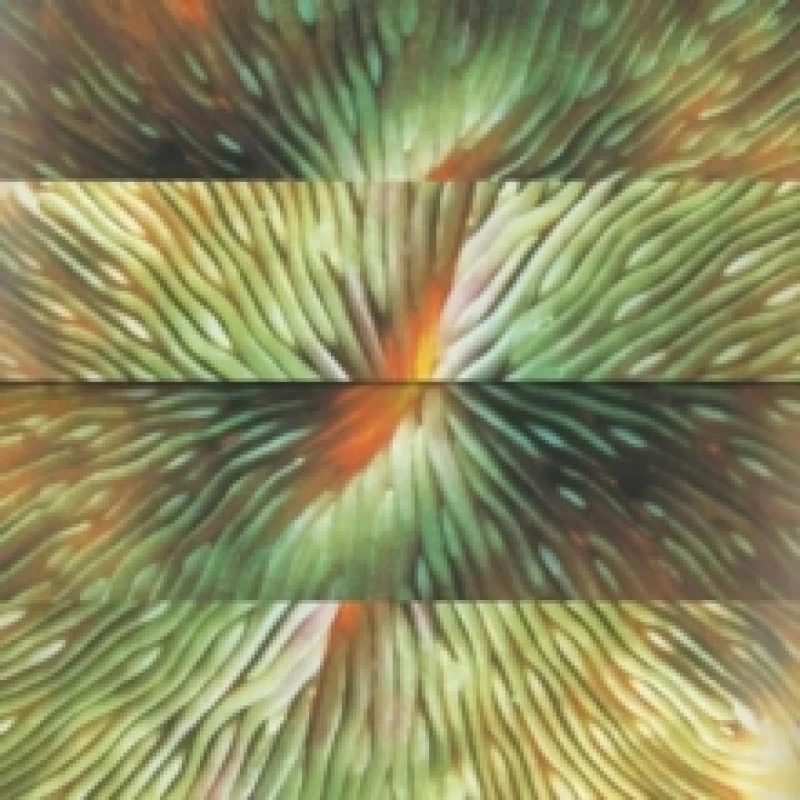 Image of Mirroring Vinyl