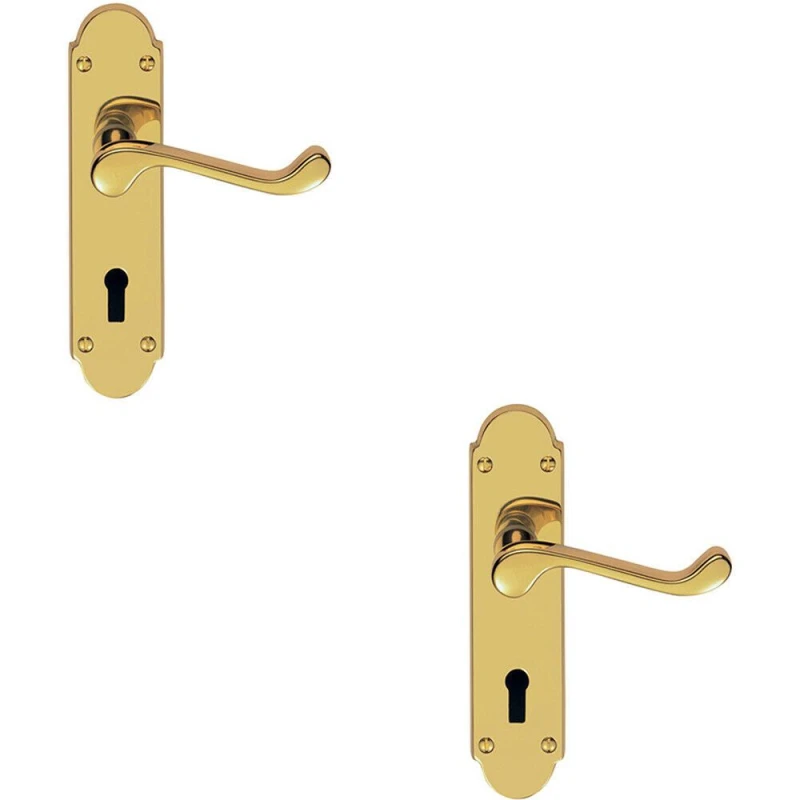 Image of Loops 2x PAIR Victorian Upturned Handle on Lock Backplate 170 x 42mm Polished Brass Metallics